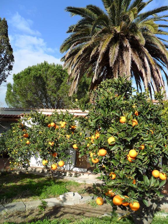 Il Giardino Di Emilio Bed & Breakfast Marrubiu ห้อง รูปภาพ